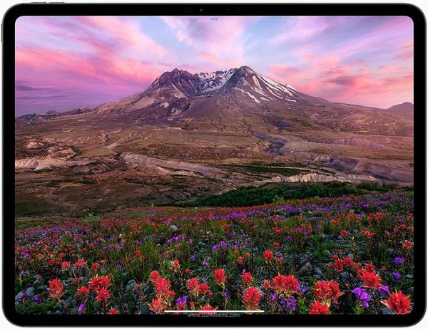 Ipad Pro 11-inch M4 256GB