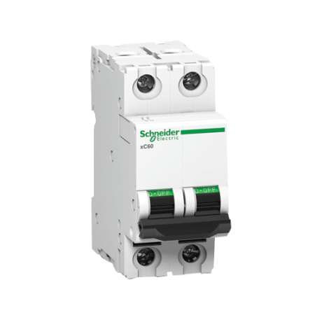 Schneider AC DP MCB 40A | 63A